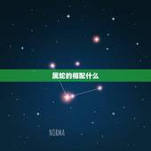 属蛇的相配什么，属龙和什么属相最配