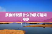 属猪婚配属什么的最好请问专家，属猪的与哪些属相婚配最好