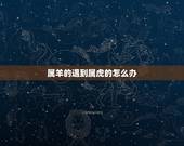 属羊的遇到属虎的怎么办，属羊的怎样对付属虎的