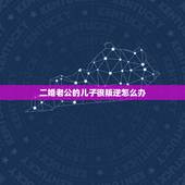 二婚老公的儿子很叛逆怎么办，二婚老公儿子习性太差