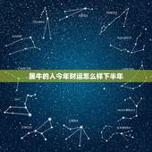 属牛的人今年财运怎么样下半年，属牛的人今年财运怎么样？