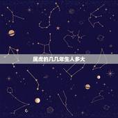 属虎的几几年生人多大，哪些年份属虎