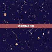 测你是狼还是羊，测试你的古代身份