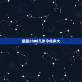属鼠2008几岁今年多大，2008年的今年多少岁