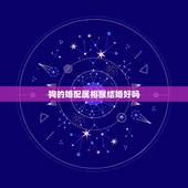 狗的婚配属相猴结婚好吗，属相狗和猴成为夫妻好不好？