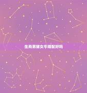 生肖男猪女牛婚配好吗，属猪和属牛相配吗