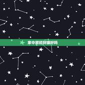 家中放招财猫好吗，摆放招财猫到底是好还是不好