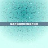 属虎的结婚忌什么属相的伴娘，属虎找伴娘伴郎忌讳什么属相