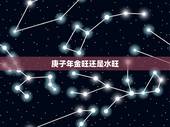 庚子年金旺还是水旺，壬寅年是水旺还是木旺