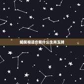 蛇属相适合戴什么生肖玉牌，属蛇的戴什么属相好