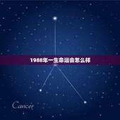 1988年一生命运会怎么样，1988年正月龙的命运如何