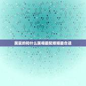 属鼠的和什么属相最配婚姻最合适，属鼠更佳婚配前十名属相