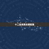 十二生肖男女婚配表，最全十二生肖婚配表