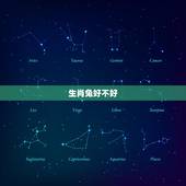生肖兔好不好，12生肖兔好不好