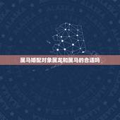 属马婚配对象属龙和属马的合适吗，十二生肖相生相克，属马和属龙相配吗？