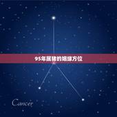 95年属猪的姻缘方位，95年属猪的姻缘在哪年生肖