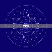 虎跟什么生肖配对(搭档是哪个)
