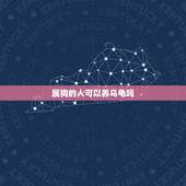 属狗的人可以养乌龟吗，属狗的人可以养乌龟吗