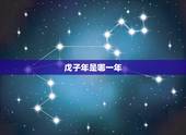戊子年是哪一年，戊子是什么意思