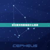 吉日里冲的属相是什么意思，亲们。像看黄道吉日里边的冲羊。冲属相是什么意