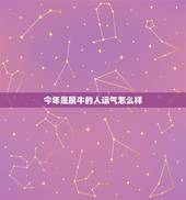 今年是属牛的人运气怎么样，属龙在牛年运势怎么样