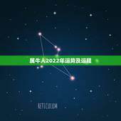 属牛人2022年运势及运程，1985在2022年感情婚姻