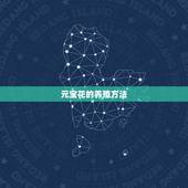 元宝花的养殖方法，元宝树的养殖方法和注意事项有哪些