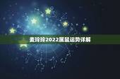 麦玲玲2022属鼠运势详解，李居明2022生肖运势运程