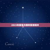 2023年属兔与哪种属相相冲，属兔和属鼠相克吗