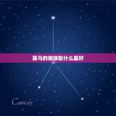 属马的姻缘配什么最好，属马的和什么属相最配