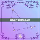 属兔的人今年财运怎么样，属兔的人今年运气好吗