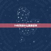 79年羊和什么属相合财，79年属羊42岁以后财运