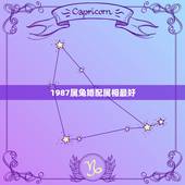 1987属兔婚配属相最好，87年属兔的和什么属相最配