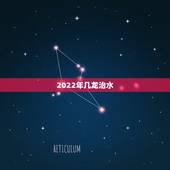 2022年几龙治水，虎年是几龙治水