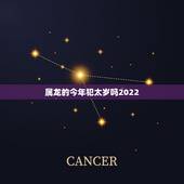 属龙的今年犯太岁吗2022，2022 犯太岁列表