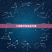 八字丙子年与壬午年，甲子丙子壬午辛亥