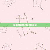 属羊的运势2022年运势，2022年属羊人的全年运势如何？