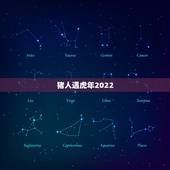猪人遇虎年2022，2022年属猪的是什么命
