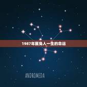 1987年属兔人一生的命运，1987年属兔2022年运势