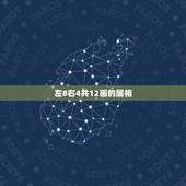 左8右4共12画的属相，十二生肖怎么分五行