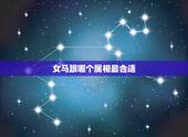 女马跟哪个属相最合适，女马找什么生肖的男生好