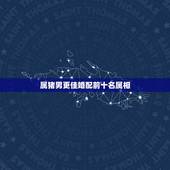 属猪男更佳婚配前十名属相，属猪男人更佳妻子