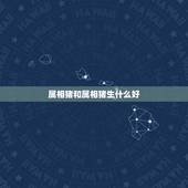 属相猪和属相猪生什么好，属猪的和什么属相最配？