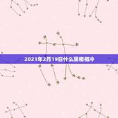 2021年2月19日什么属相相冲，2021年2月19日1点44分出生的
