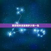 西安招财进宝烟多少钱一包，招财猫1600香烟价格是多少一条！注意、是一