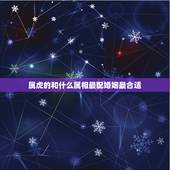 属虎的和什么属相最配婚姻最合适，属虎和啥属相适合结婚