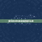 属牛的2009年出生的是什么命，2009出生的属牛的孩子是什么命啊？
