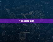 1963年属兔吗，1963年属什么生肖