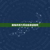 属兔农历六月出生命运如何，87年属兔34岁有一劫2022
