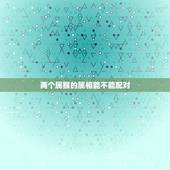 两个属猴的属相能不能配对，请问属猴男与属猴女的两个人在一起属相相配吗？